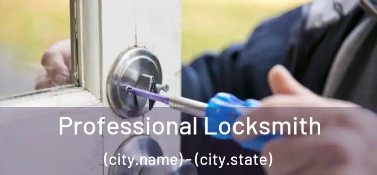 Professional Locksmith (city.name) - (city.state)